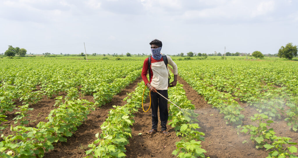 Farmer besprüht Baumwollfeld mit Pestiziden